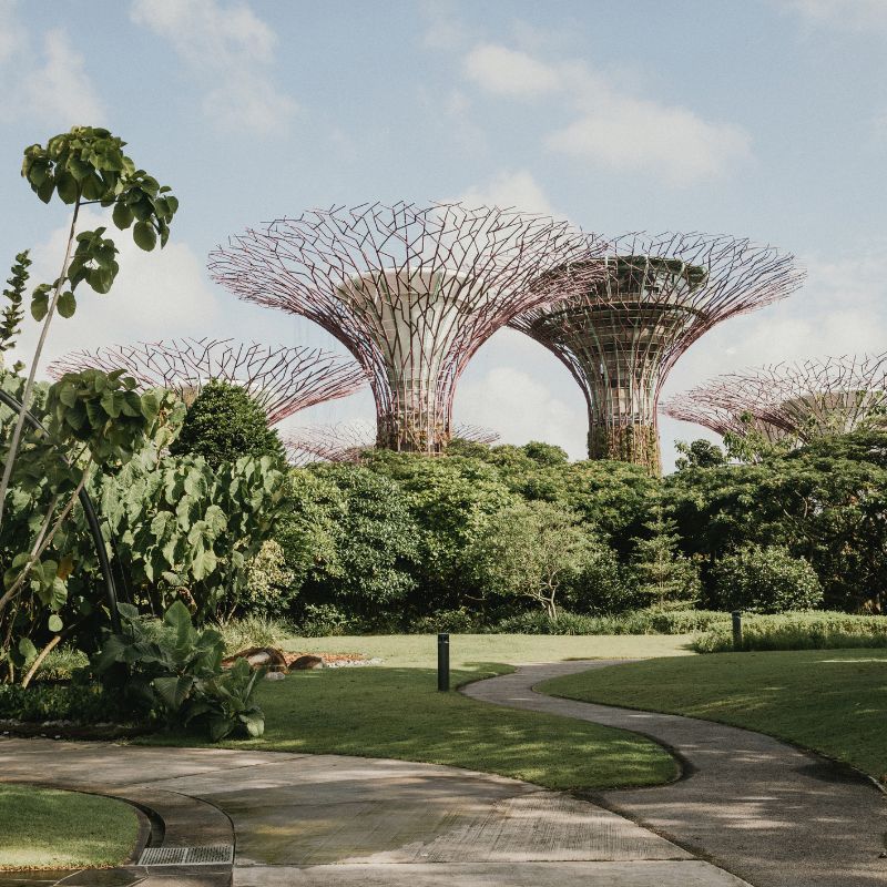 Botanical Garden with Name Plaques on Trees