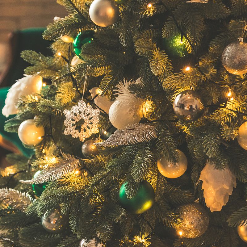 Types of Christmas Trees