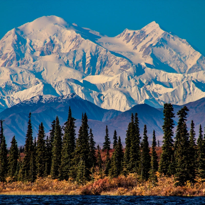 Tallest Mountain In North America is Denali. A photo of Denali mountain.
