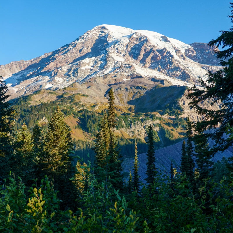 Highest Point in Each State, Mount Rainier