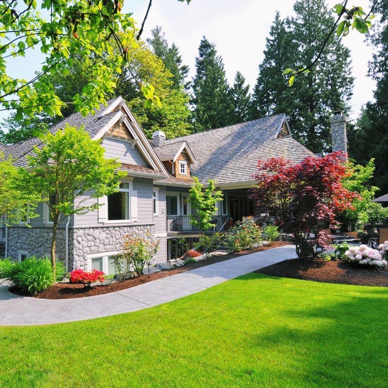 Landscaping Trees