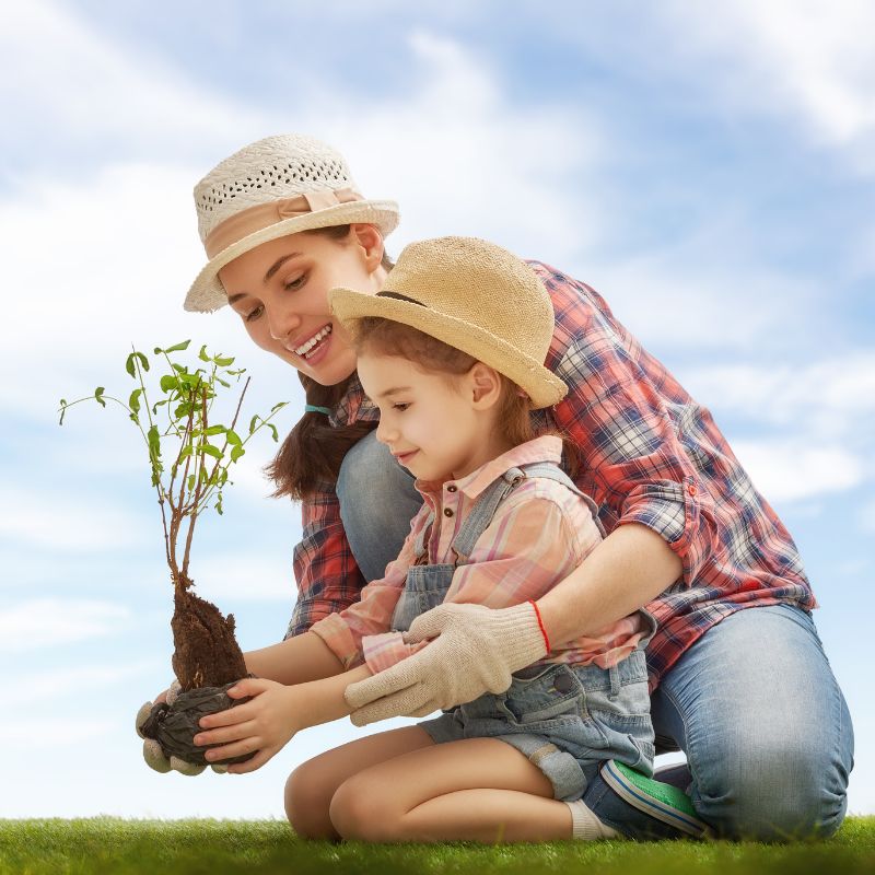 Why tree planting is a meaningful holiday gift by Natura Nation