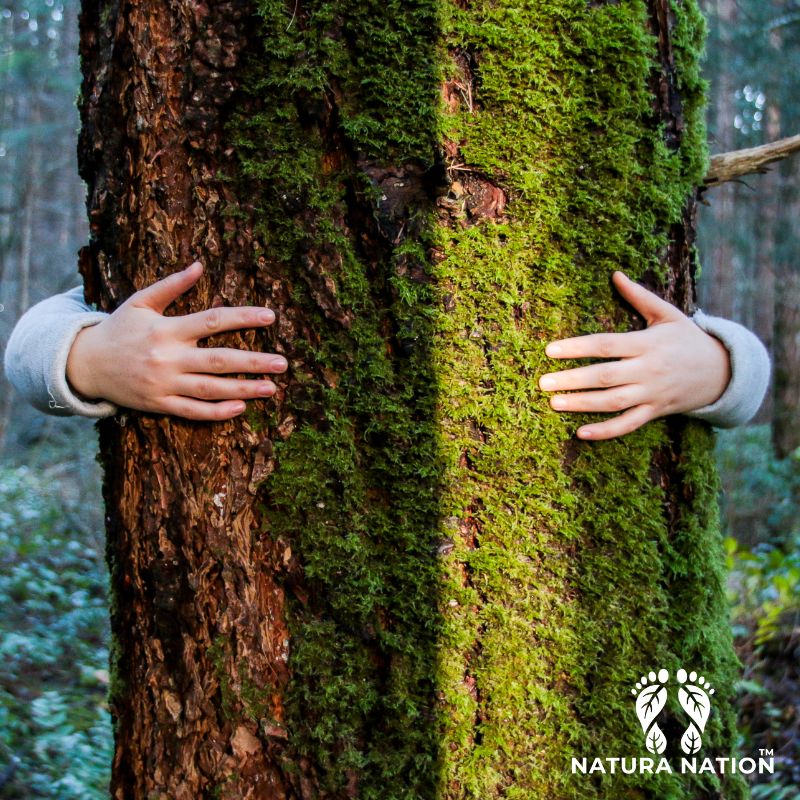 Tree hugger clothing - Photo of a person hugging a tree.
