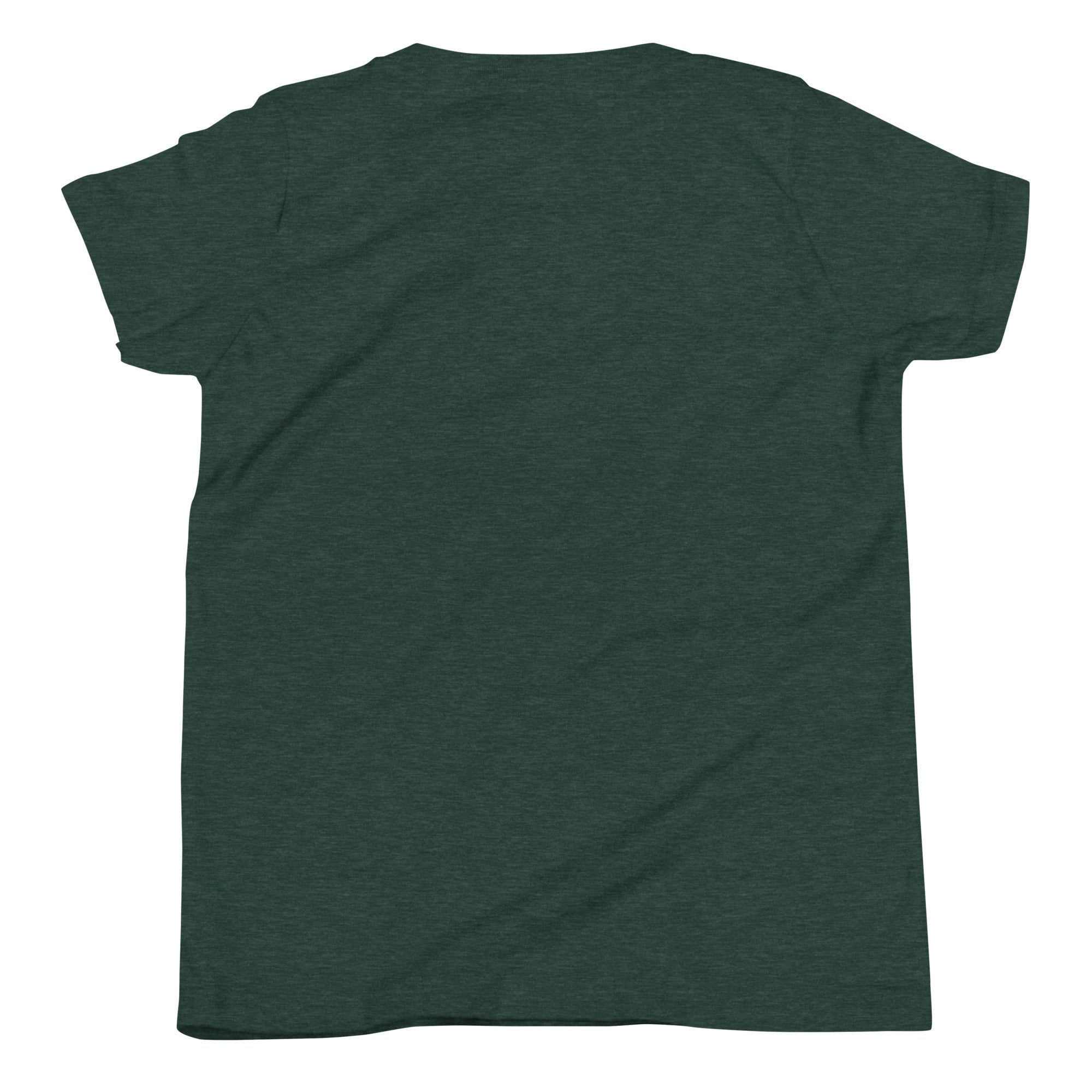 Graphic t-shirt for teens with a forest and mountain design.