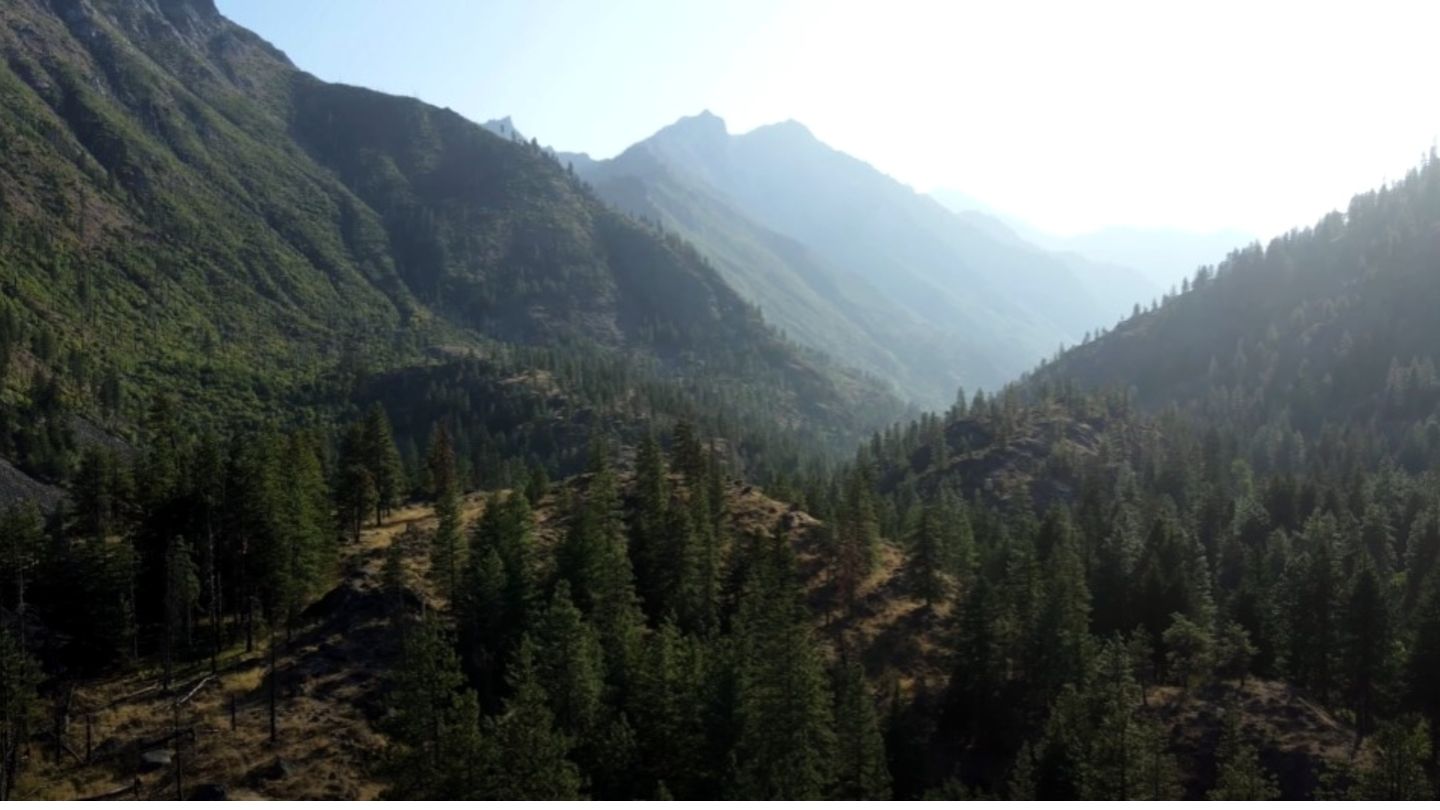 Nature Sweatshirts by Natura Nation