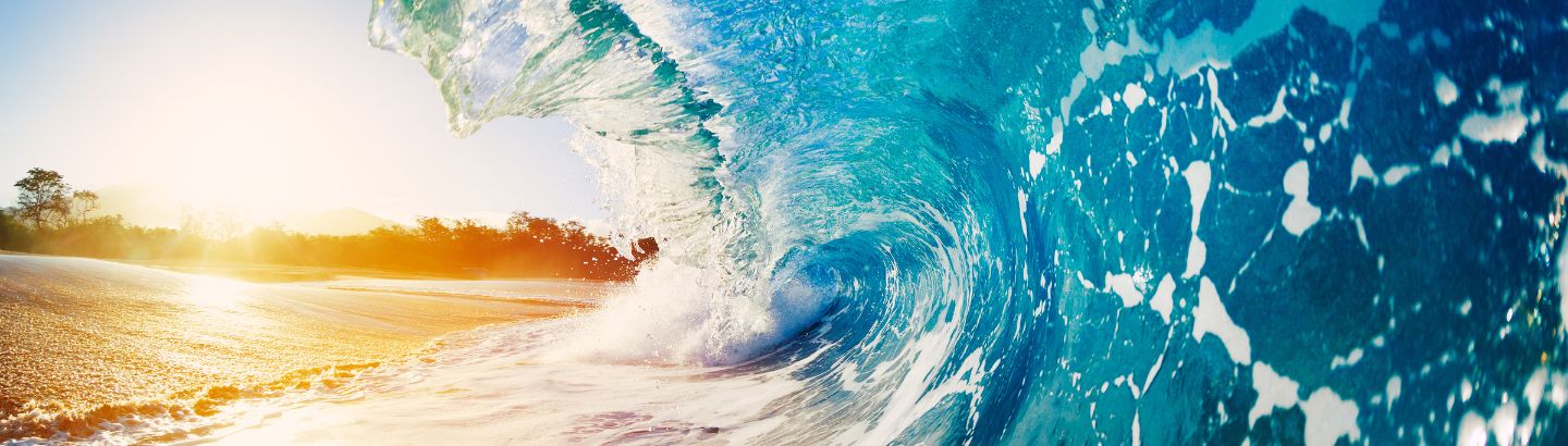 Ocean Clothing Collection - Ocean Hoodies, Ocean Sweatshirts, Ocean T-shirts, Ocean Themed Clothing and Apparel by Natura Nation.