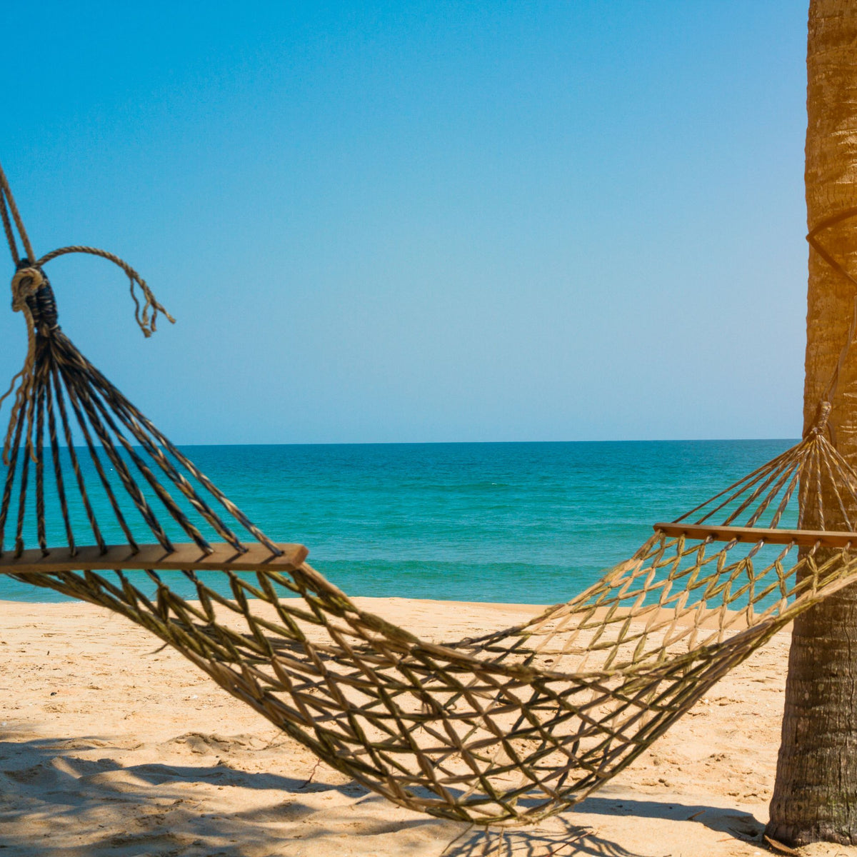 Summer Clothes—Nature-Inspired Summer Outfits for Men and Women by Natura Nation.