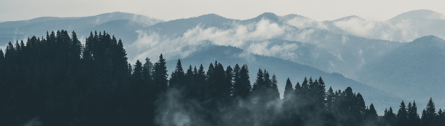 Youth Clothing and Kids Clothes - A misty mountain landscape with layered blue-gray peaks, dark evergreen trees in the foreground, and low clouds drifting through the valley.