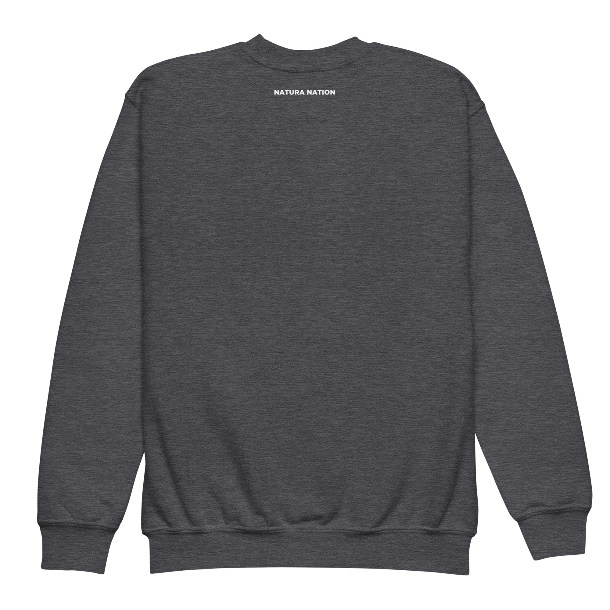 Youth mountain crewneck sweatshirt back view with the Natura Nation name below the collar.
