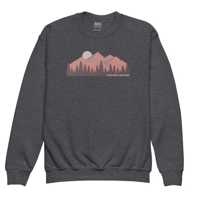 Kids mountain sweatshirt with a summit silhouette design on the front for youth.