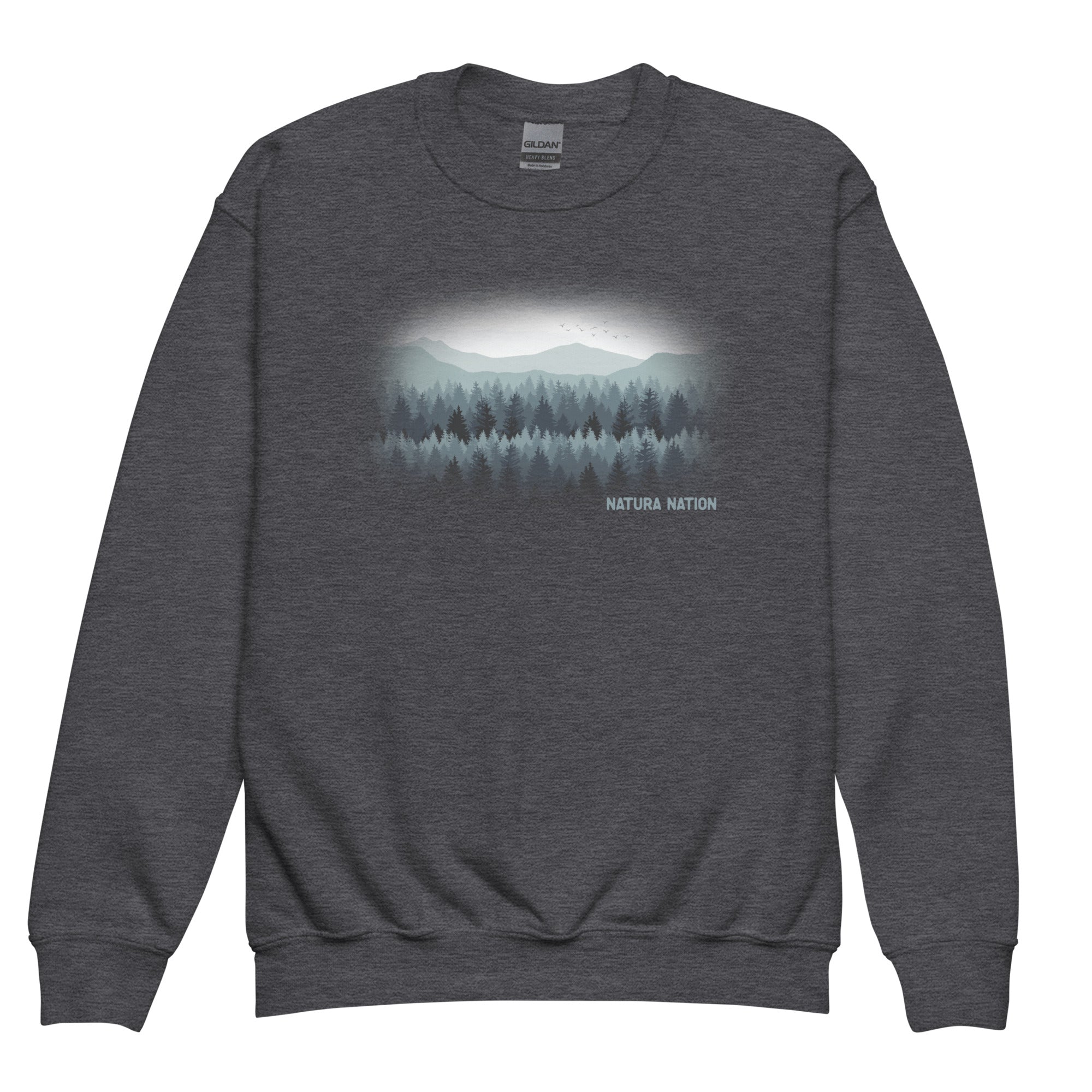 Youth nature sweatshirt with pine trees and mountain peaks on the front for kids.