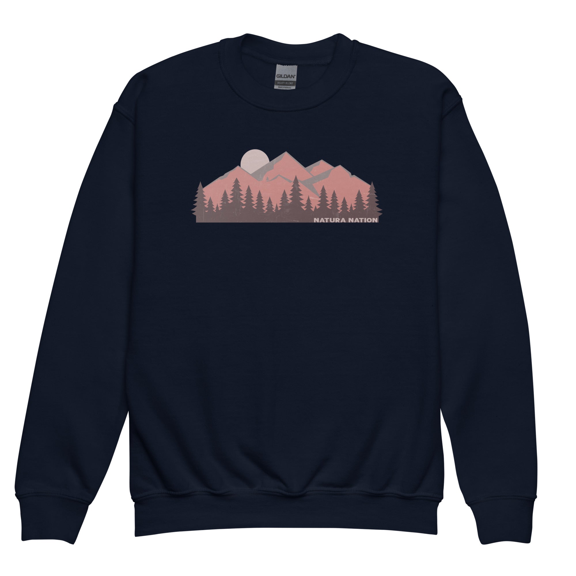 Youth graphic mountain sweatshirt featuring a peak silhouette for teens and kids.