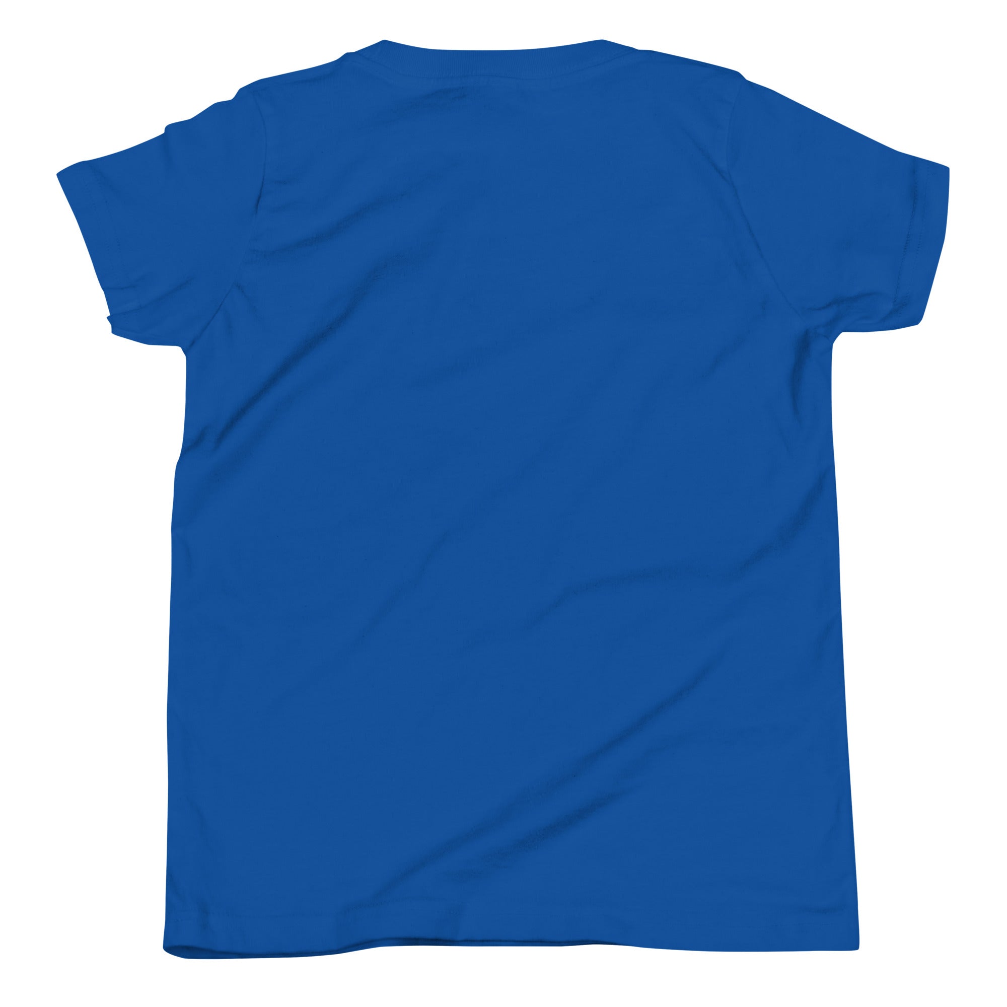 Graphic t-shirt for teens with a pine forest design on the front but here you see the back.